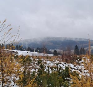 Krynica - Słotwiny - Bacówka nad Wierchomlą - Krynica-Zdrój - 2