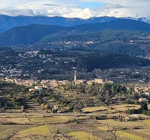 Le sentier du Thym à Lablachère - Lablachère - 2