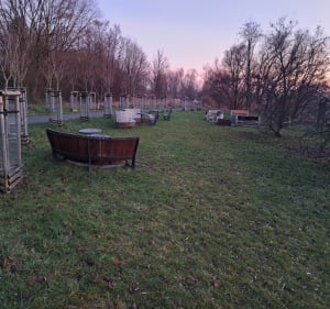 Szachty i wieza widokowa - Poznań - 5