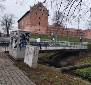 Miejski spacer - Działdowo - 2