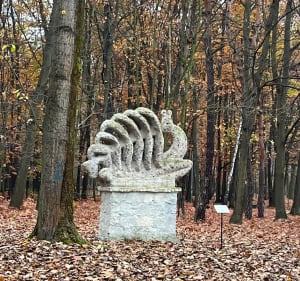 Park Zadole w jesiennej aurze - Monika - 3