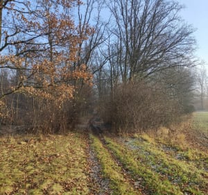 Zaciszne okolice Lasu Mokrzańskiego - Łukasz - 3