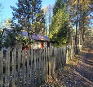 Piernikarka - opuszczona osada w środku lasu - Sosnowiec - 2