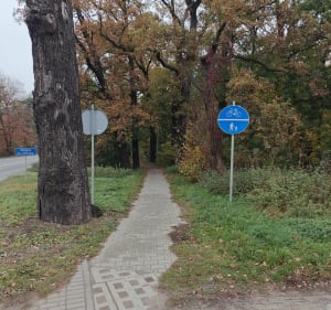 Pętla w okolicy Ostrowa Wielkopolskiego. - Ostrów Wielkopolski - 3