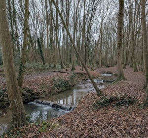 Longjumeau, Epinay-sur-Orge et Ballainvilliers - Longjumeau - 2