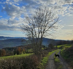 Boucle pédestre autour de Saint-Julien-sur-Bibost - Saint-Julien-sur-Bibost - 2
