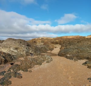 Plage du Petit Pont de Bretignolles - Bernard - 4