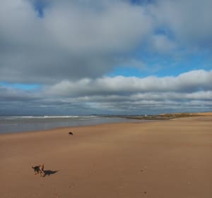 Plage du Petit Pont de Bretignolles - Bernard - 5