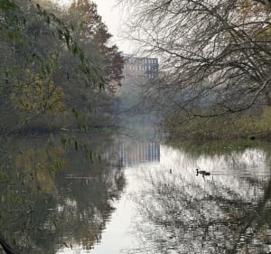 Las Mokrzański z Przedmieścia Oławskiego - Wrocław - 3
