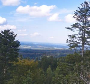 Tête des cuveaux et belvédère - Éloyes - 2