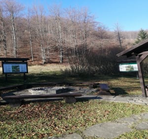 Malownicza trasa do Rezerwatu Przyrody Kuźnia - Lipowa - 2