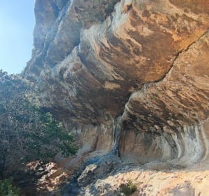 Collias la vire des chèvres - Collias - 5