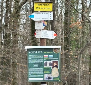 Z Prudnika przez Trupinę i Kobylice na Kozią Górę - Krzysztof - 4