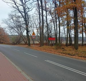 Pętla w stronę Żabieńca po Chojnowskim Parku Krajobrazowym - Złotokłos - 2