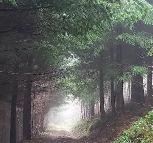 Boucle au sud de Rivolet - Rivolet - 2