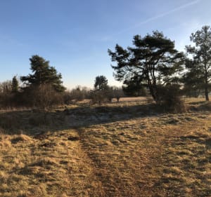 Plateau de Malzeville et Aérodrome - Nancy - 2