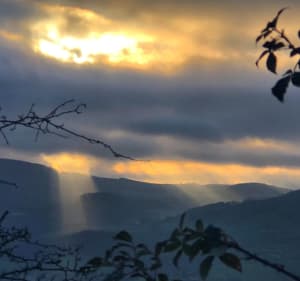 Balade sur le Mont Rochefort - ERIC - 3