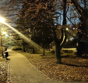 Jaroty trzy stawy - Olsztyn - 2