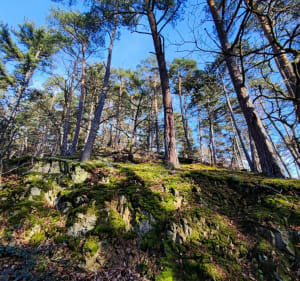 Le chaudron du diable Lautenbach - Lautenbach - 2