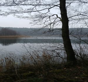 Nygut Bolesławowo - Bolesławowo - 2
