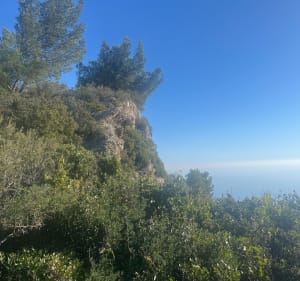 Tour du Mai - Six-Fours-les-Plages - 2