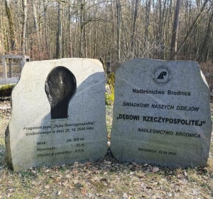 W Górznieńsko-Lidzbarskim Parku Krajobrazowym" - Wielkie Leźno - 2