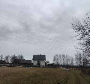 Lasek Libiąż Gromiec - Libiąż - 2