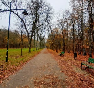 Park na Zdrowiu Łódź, druga część parku, dalej od Fali - Magdalena - 3