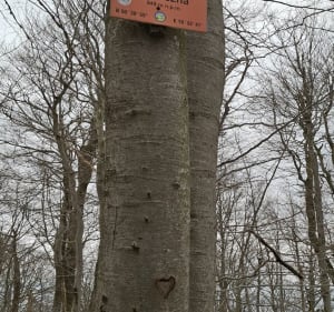Wielka Sowa i Kalenica - Kamila - 3