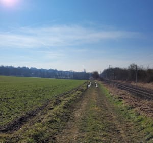 Champs autour d'Ailly sur Noye - Marie-Hélène  - 5