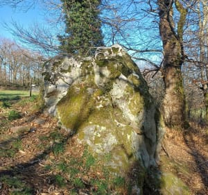 Châteauponsac par Létrade - Châteauponsac - 2