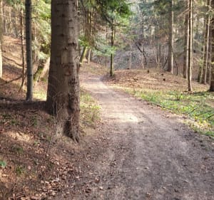 Kopalnia Żarnowa i Kolo - Żarnowa - 2