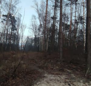Pomnik Ofiar Faszyzmu - Libiąż - 2