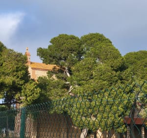 Entre vergers et vignobles à Saint Nazaire - Saint-Nazaire - 2