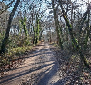 Boucle du moulin dans le Déhès - Le Haillan - 2