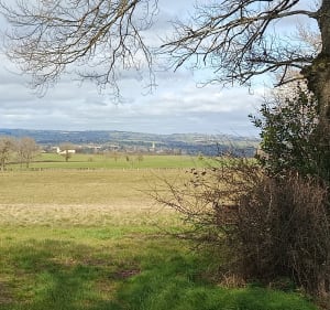 Balade aux abords de Naucelle par Soulages - Naucelle - 4