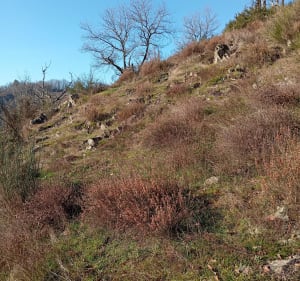 Boucle de l'Auvézère et de la Charoncle - Saint-Mesmin - 2