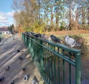 Spacer po parku wierzbowa - Białystok - 2