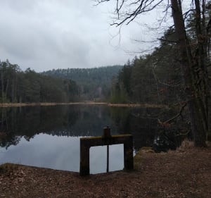 Balade autour du Weschkobert - Sturzelbronn - 2