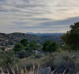 Sur les hauteurs d'El Campello - El Campello - 2