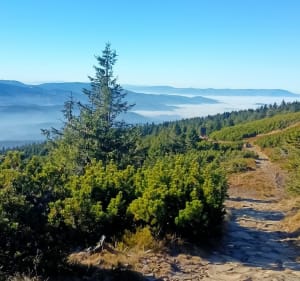 Babia Góra ze Słowacji, jako alternatywa do polskich szlaków - Oravská Polhora - 2