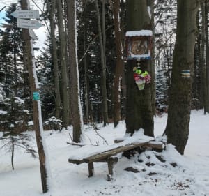 Pętelka na Cięcień - szczyt Beskidu wyspowego - Magdalena - 3