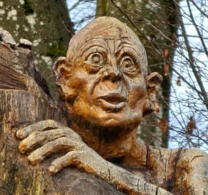 Sortie dans la forêt du Buchholz - EDDIE - 2