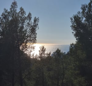 Balade dans les calanques - Cassis - 2