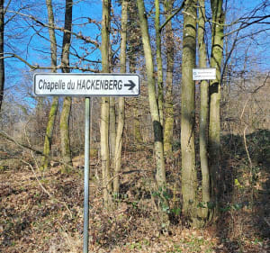 Boucle de la chapelle du Hackenberg - Veckring - 2