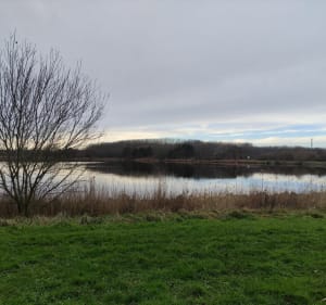 Autour du Lac du Puythouck - Grande-Synthe - 4