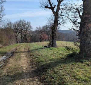 Autour du lac de Savères - Lautignac - 2