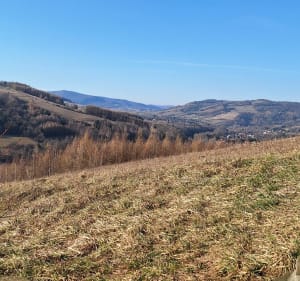 Spacer na Grzywacką Górę - Elwira - 2