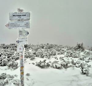 Trasa z przełęczy Krowiarka na Babią Górę - Piotr - 5