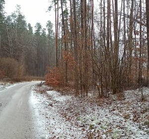Niebieska ścieżka biegowa - Kwidzyn - 2